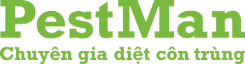 Pestman.com.vn